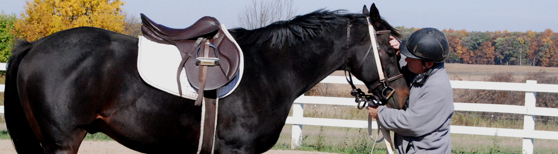 Thoroughbred Aftercare Alliance