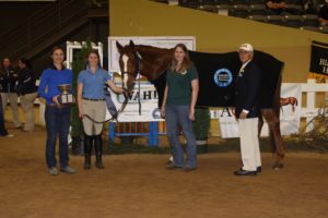 Mac Goo (Show name Red Alert) IHSA National Champion High Point, from the University of Kentucky Equestrian Team 