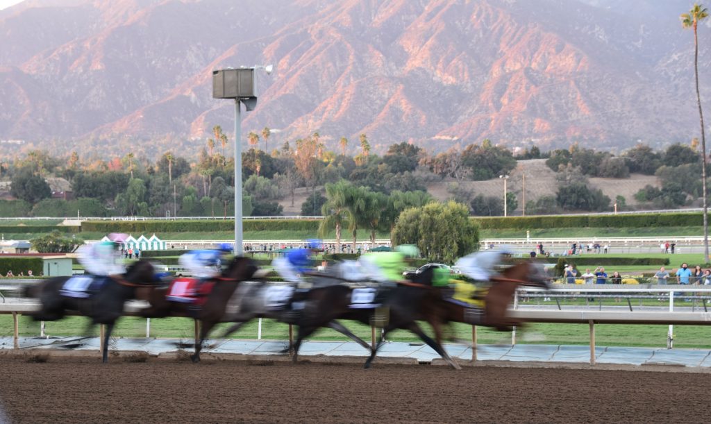 2016 Breeders' Cup Classic at Santa Anita Park