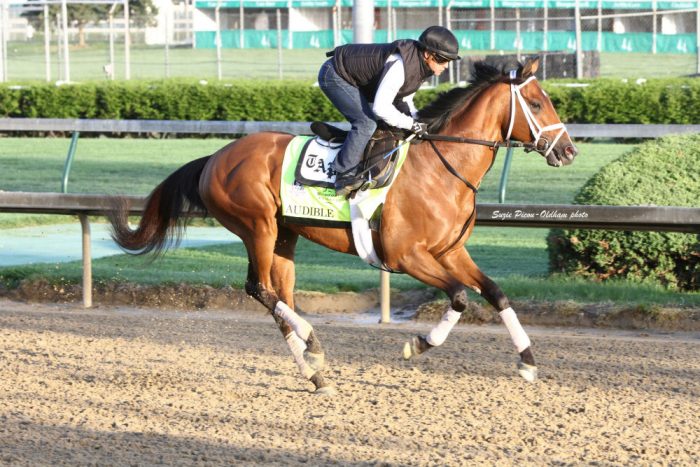Audible gallops at Churchill Downs ahead of the Kentucky Derby