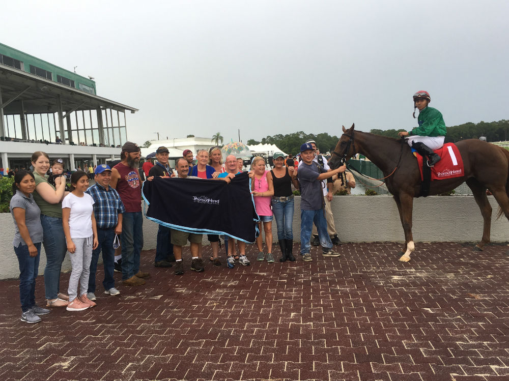 tampa bay downs congrella TAA blanket presentation