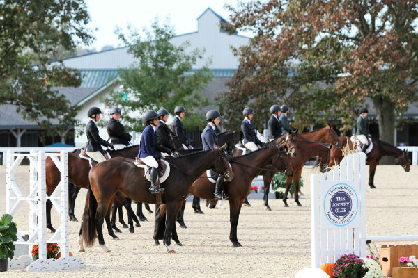 New Vocations All-Thoroughbred Charity Show and T.I.P. Championships