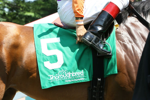 TAA saddle towel with jockey