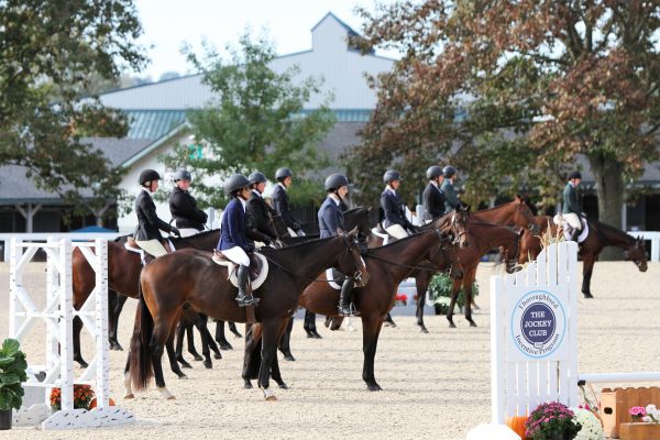 horse show OTTBs