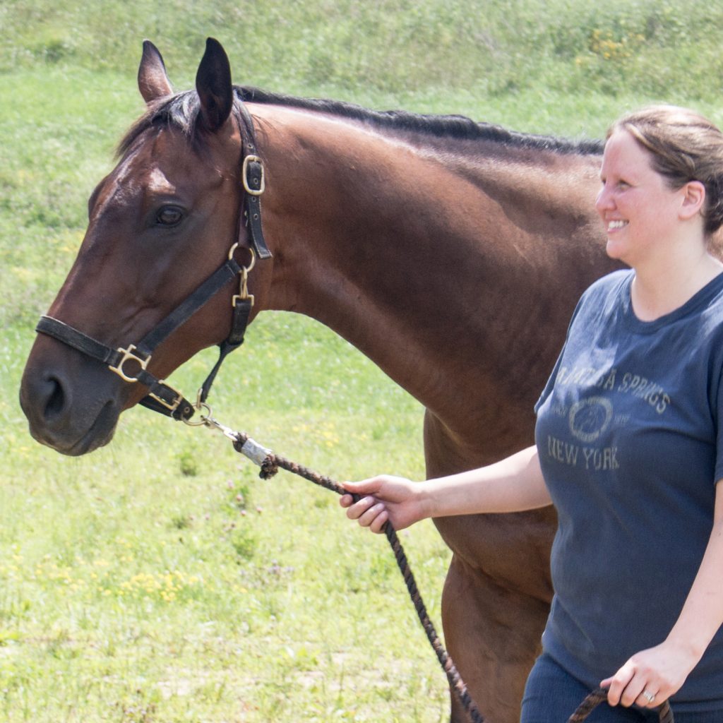 Dusk to Dawn at Thoroughbred Retirement Foundation's summer farm in Saratoga Springs