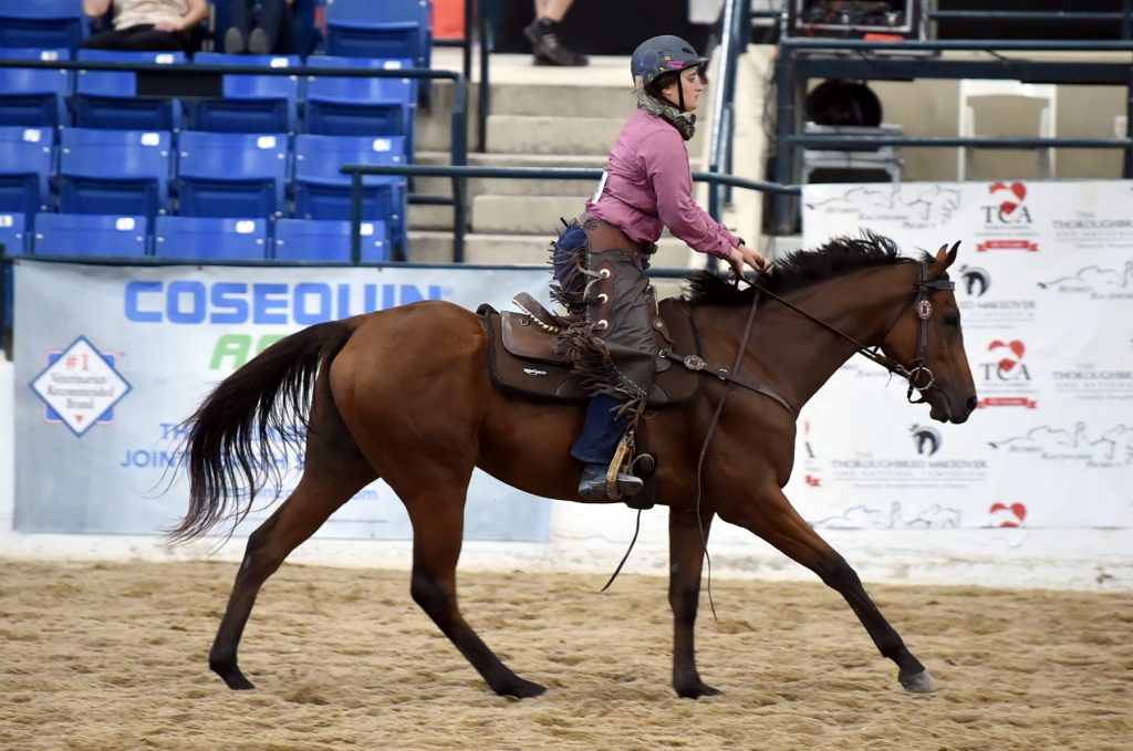 Gold Room Scotty at the Thoroughbred Makeover