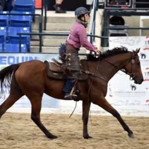 Gold Room Scotty en el Thoroughbred Makeover