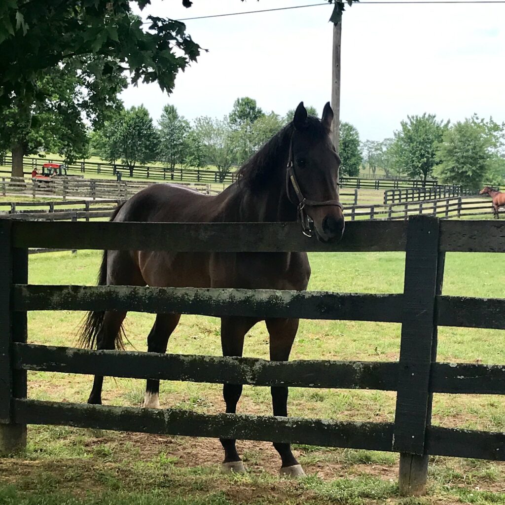 Game On Dude success story