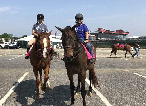 Canter for the Cause 2019