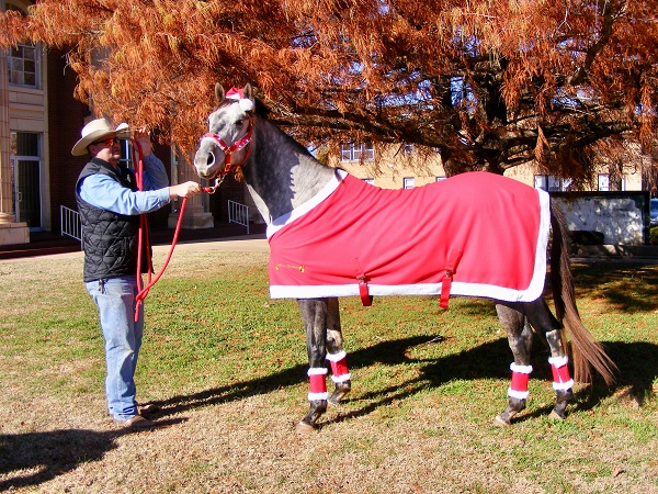 Sasha's Image as Sasha Claus