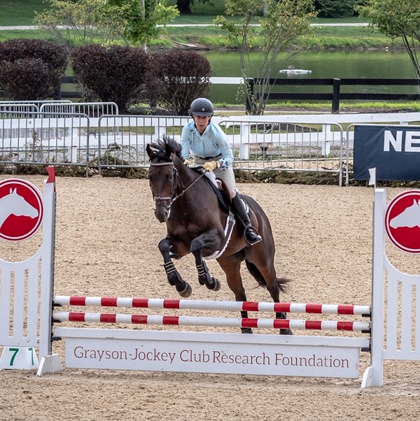 Special Ops - Thoroughbred Aftercare AllianceThoroughbred Aftercare
