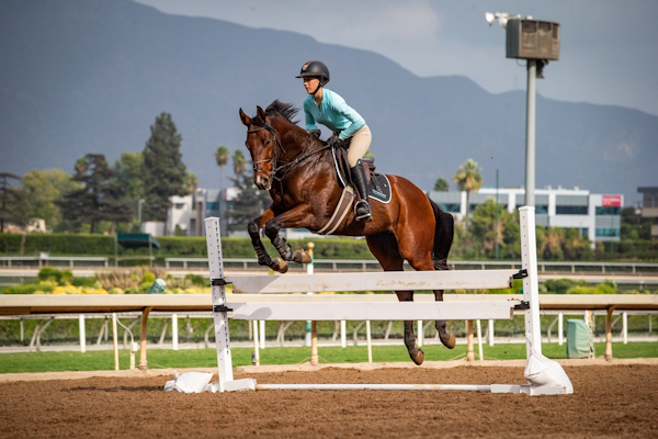 CARMA An Invaluable Resource for California Horsemen