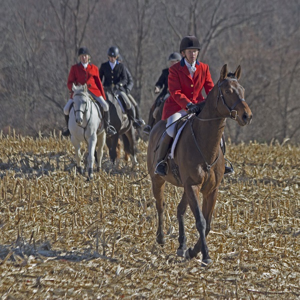 Kevin'sgotaprize and Sally Shirley on the hunt