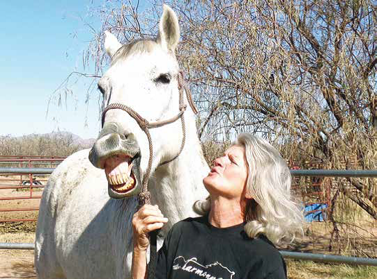 Harmony & Hope Horse Haven