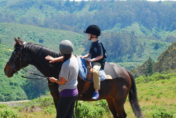 OTTB in equine-human therapy program