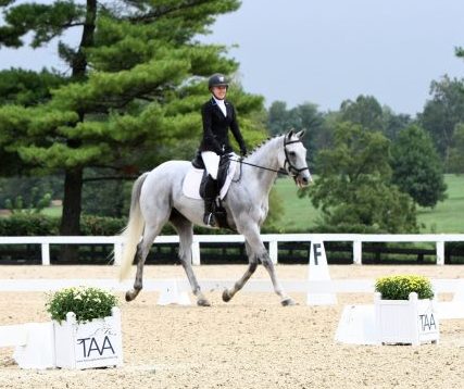 OTTB at a horse show