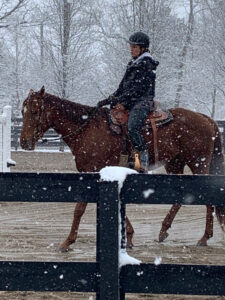 Filly Named Billy and Kellee in snow