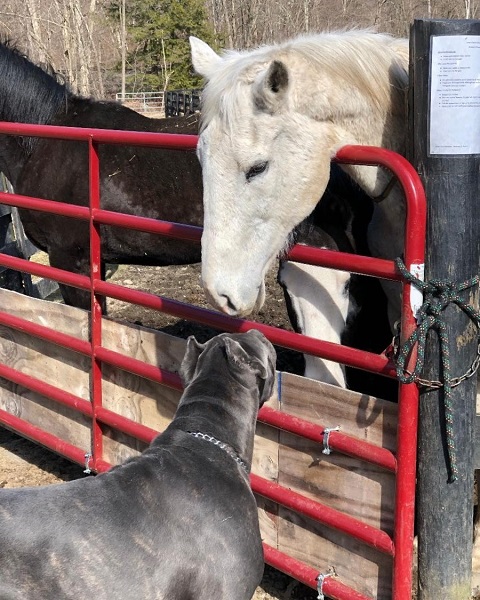 Lucky orphan making a new friend