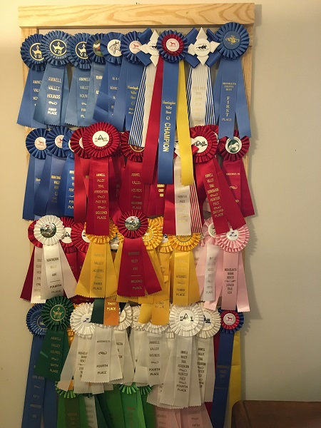 Sawdust competition ribbons