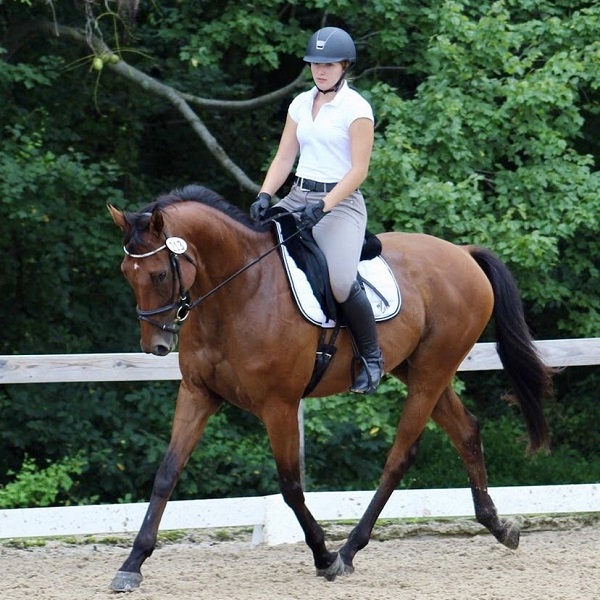 Tricky G under saddle with Kayla Covolesky