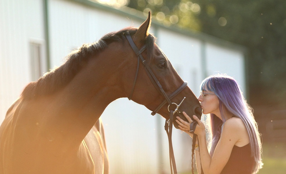 Emberton Farms Photography