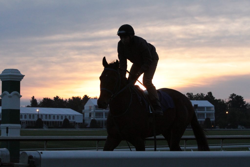 Photo: Suzie Picou-Oldham