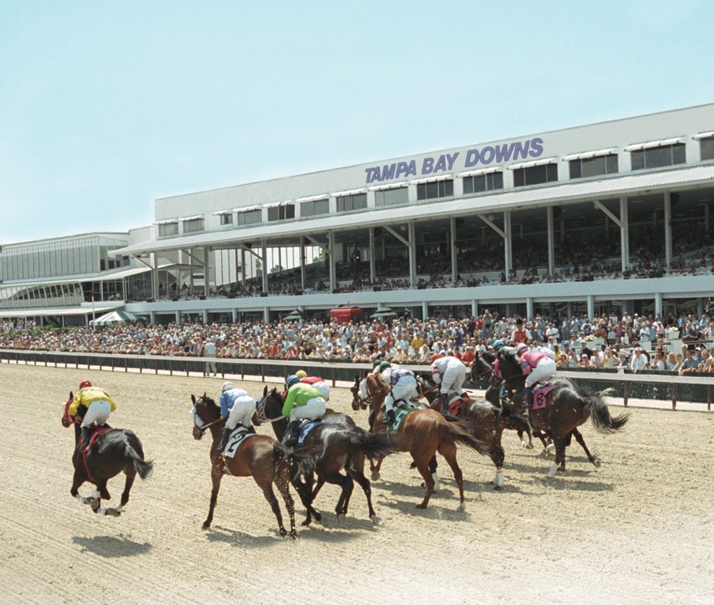 Galloping down the stretch at Tampa Bay Downs