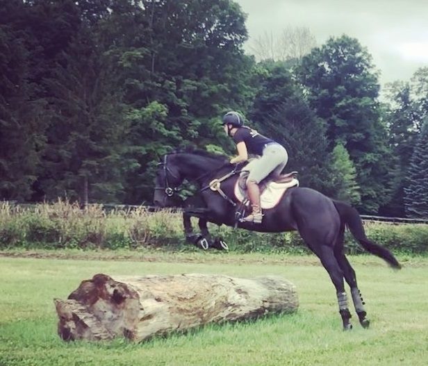 Crazed jumping a log