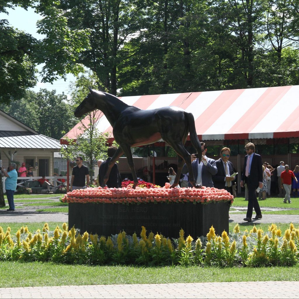 Credit: Suzie Picou-Oldham