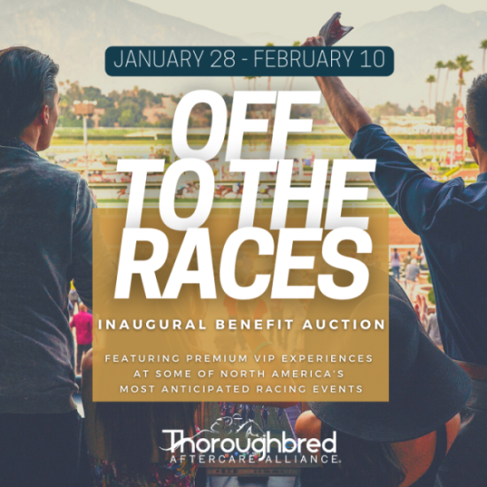 TAA Launches ‘Off to the Races’ Inaugural Online Auction Campaign of Bucket List Experiences