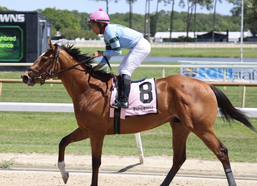 TAA Presence Strong at Tampa Bay Downs on Florida Cup Day
