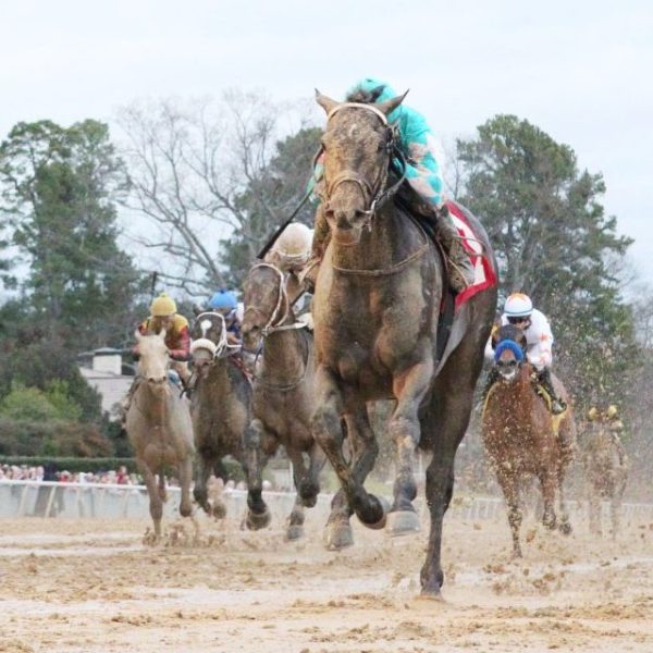 Ensuring Horses Stay Retired from Racing