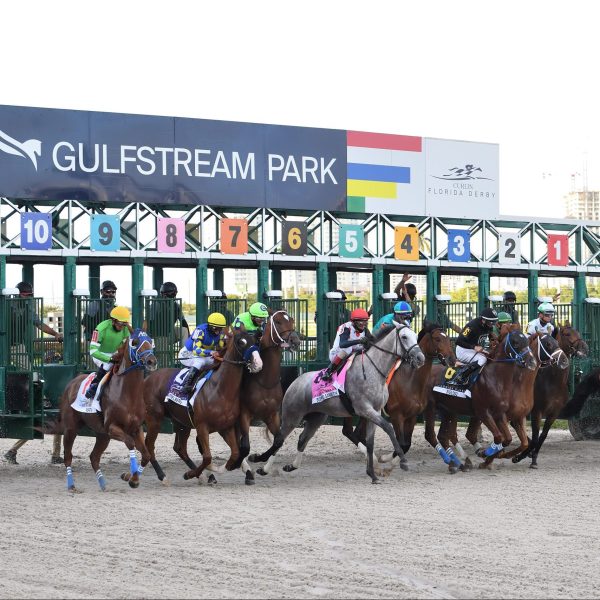 Gulfstream Park to Host TAA Day at the Races on Florida Derby Day