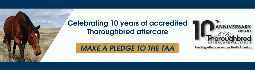 Thoroughbred Aftercare Alliance Thoroughbred Aftercare 