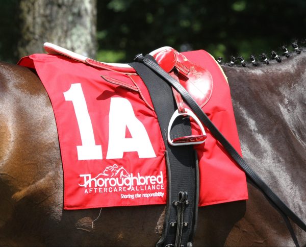 NYRA Welcomes TAA to Saratoga Race Course on Whitney Day