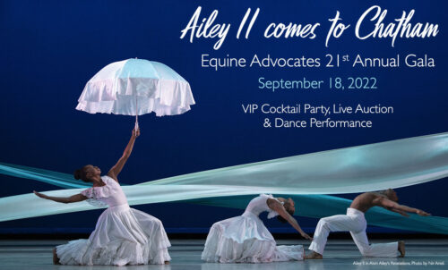 Equine Advocates: 21st Annual Gala