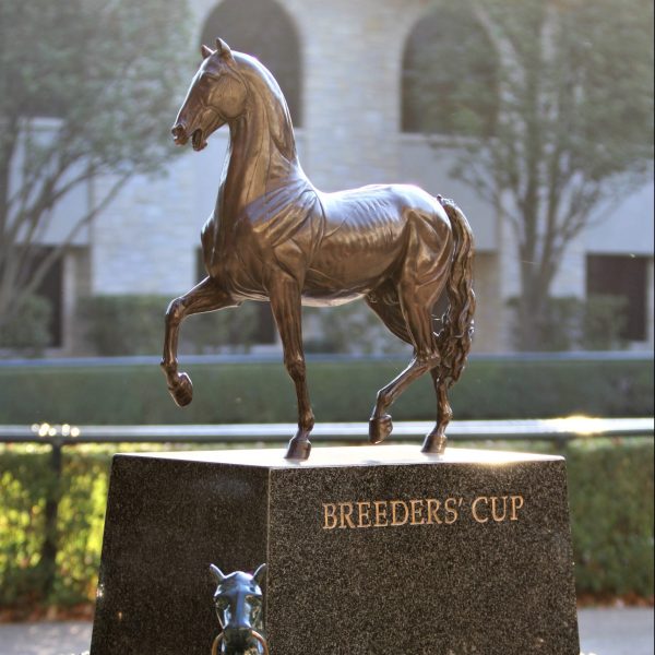2022 Breeders’ Cup World Championships