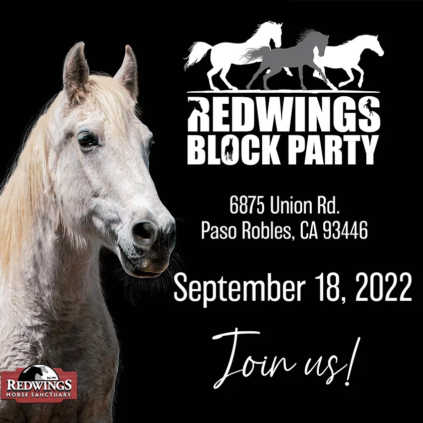 Redwings Horse Sanctuary: Block Party
