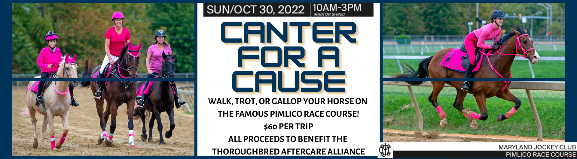 Thoroughbred Aftercare Alliance Thoroughbred Aftercare 