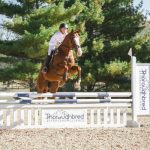 TAA Sponsors High Point Award at 2022 RRP Thoroughbred Makeover