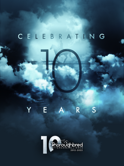 Celebrating Ten Years movie poster