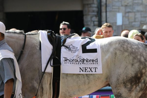 TAA and Supporters Have Banner Weekend at Breeders’ Cup World Championships