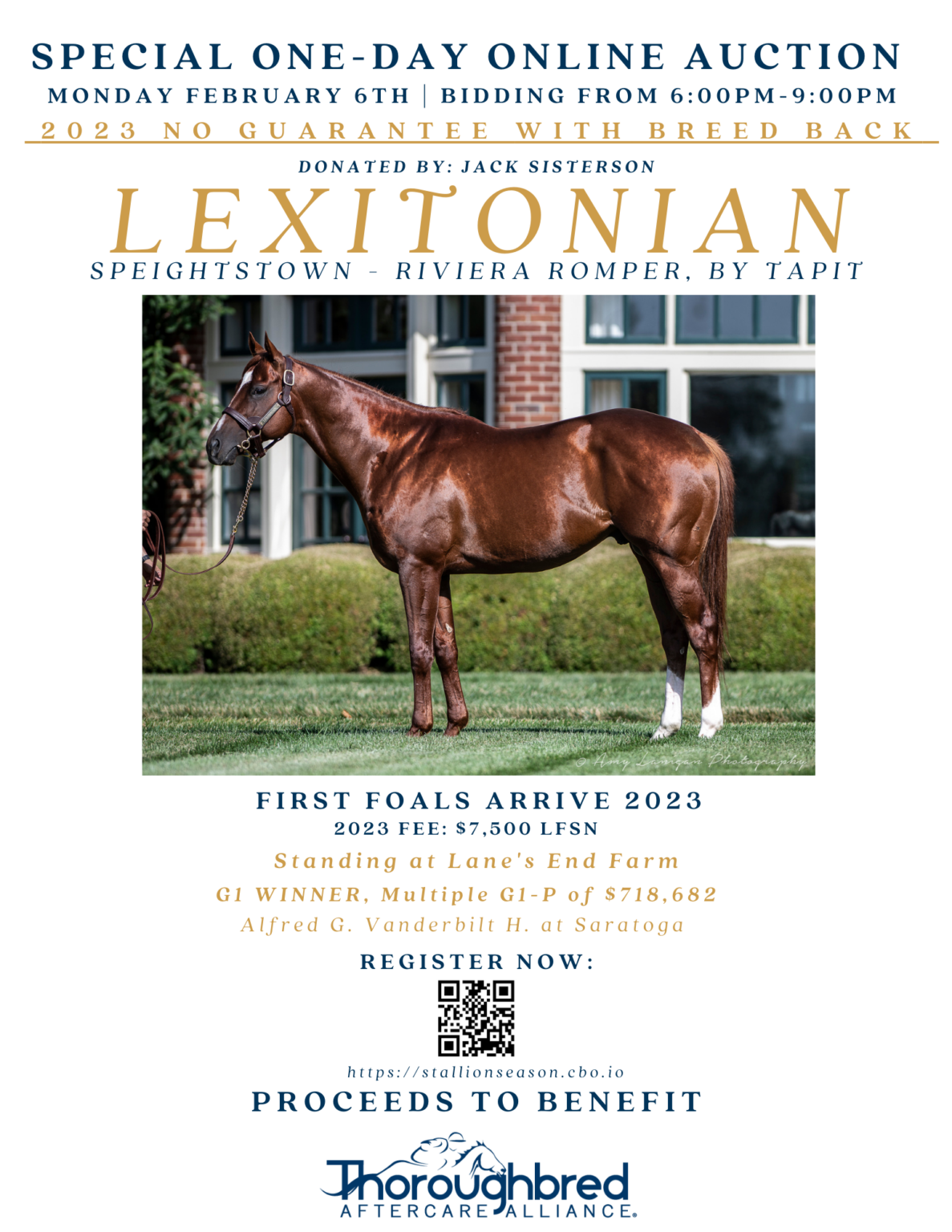 LEXITONIAN 2023 Stallion Season Online Auction Thoroughbred Aftercare
