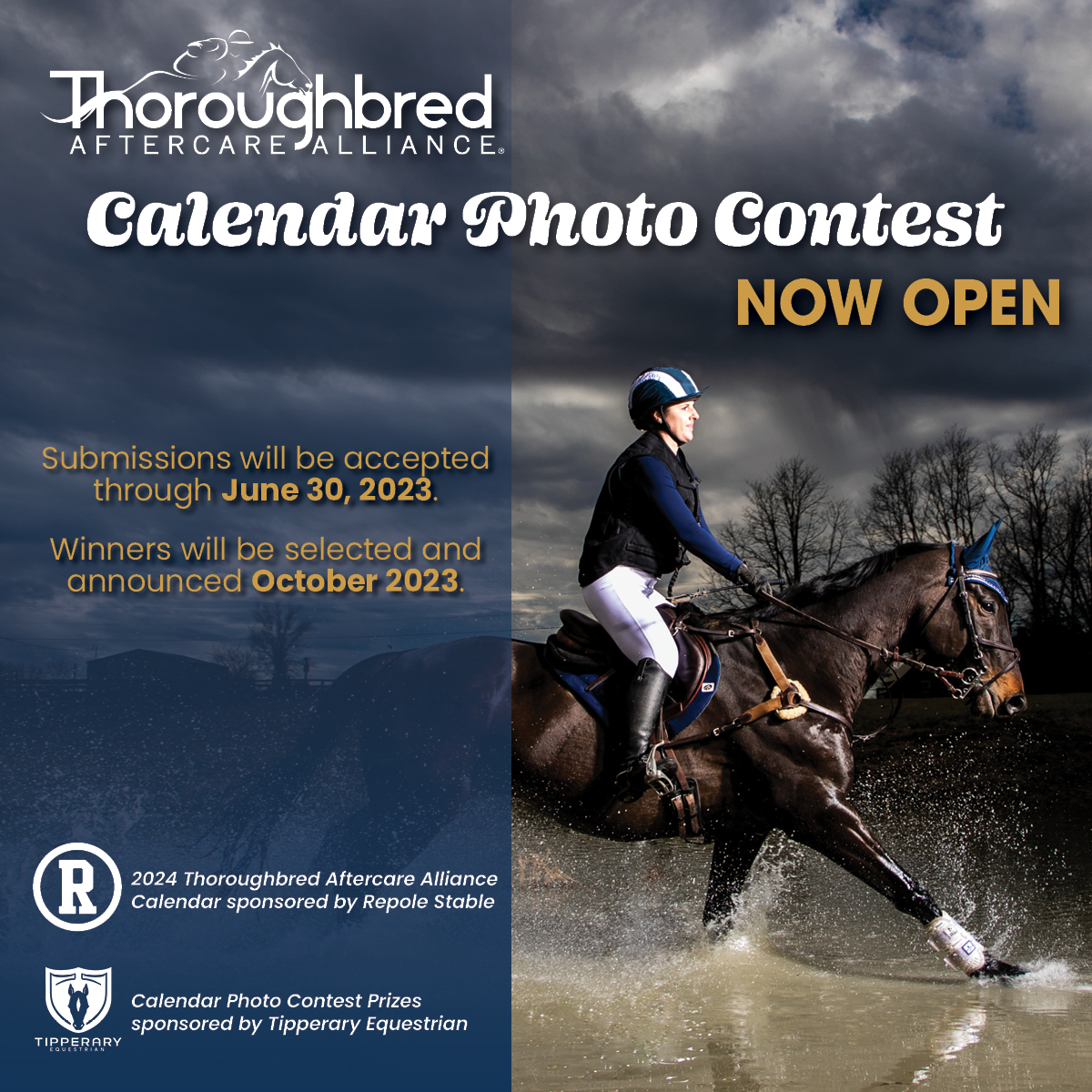 Thoroughbred Aftercare Alliance Third Annual Calendar Photo Contest Now Open