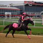 Thoroughbred Aftercare Alliance Announced as Beneficiary for Maryland Jockey Club’s Canter for a Cause
