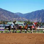 Thoroughbred Aftercare Alliance On-Site at  Breeders’ Cup World Championships