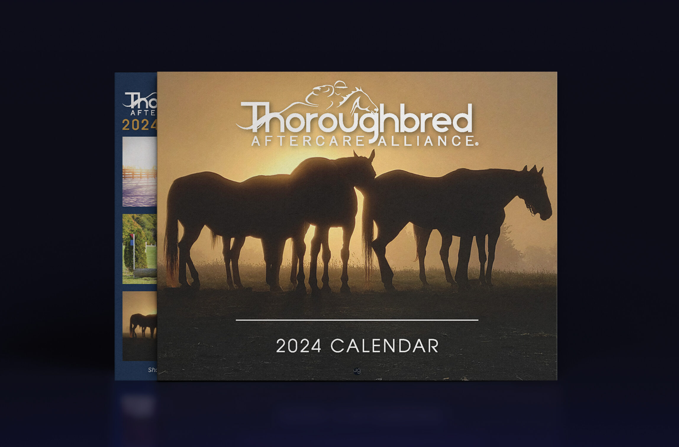 Thoroughbred Aftercare Alliance Announces Third Annual Calendar Photo Contest Winners