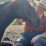 Why an OTTB is an Excellent Therapy Horse