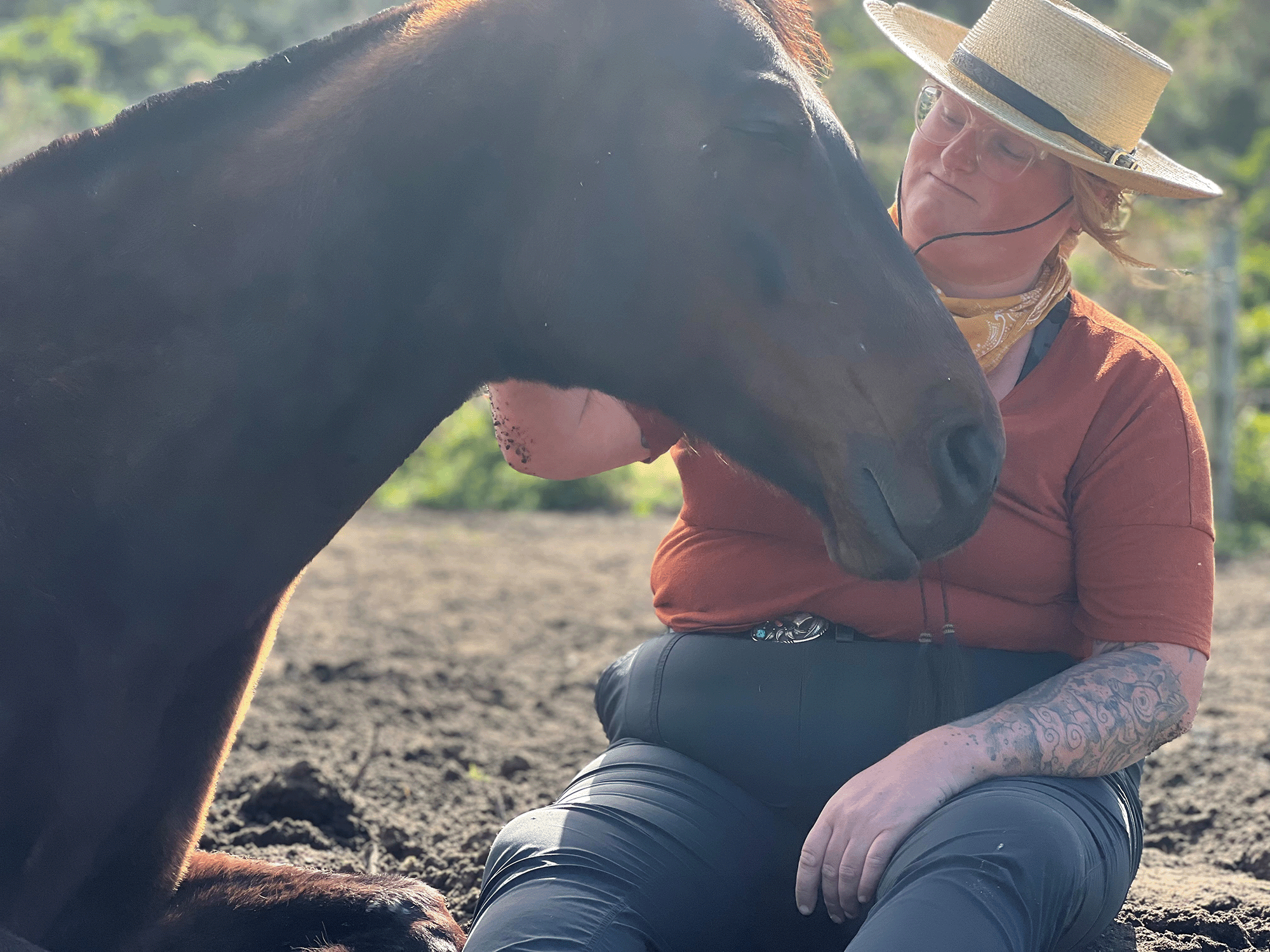 Why an OTTB is an Excellent Therapy Horse