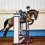 Long Lost Partners- First Edition and Shannon